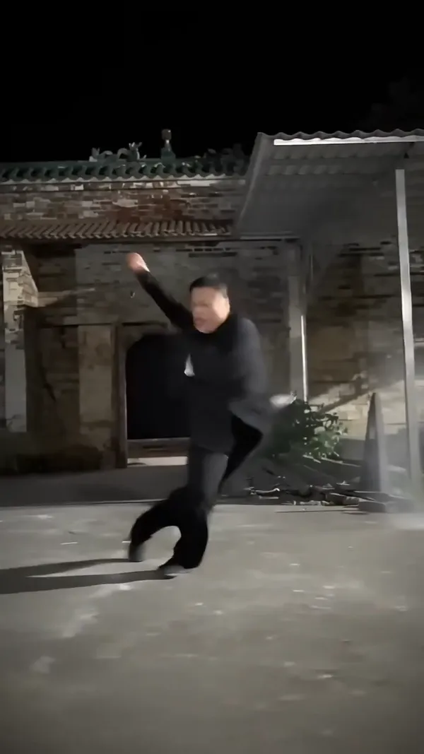 动作模仿/迷踪拳 - C作品