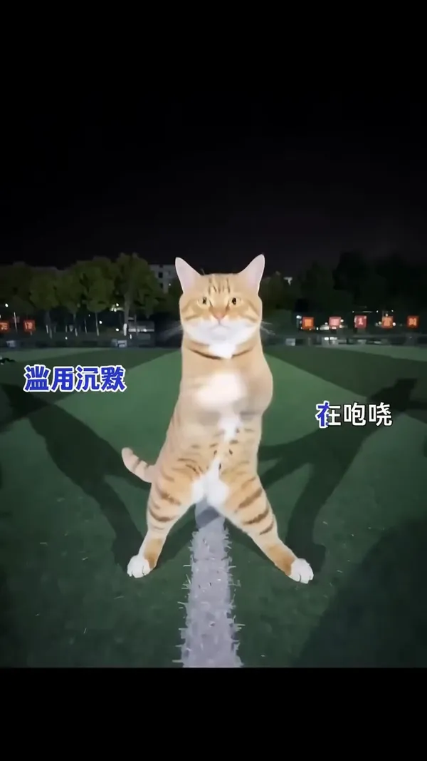 背对背拥抱手势舞🔥 - C作品