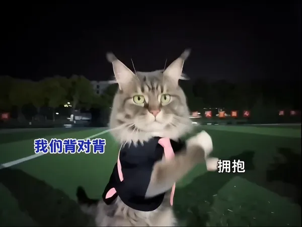 🔥经典老歌｜我们背对背拥抱手势舞 - C作品
