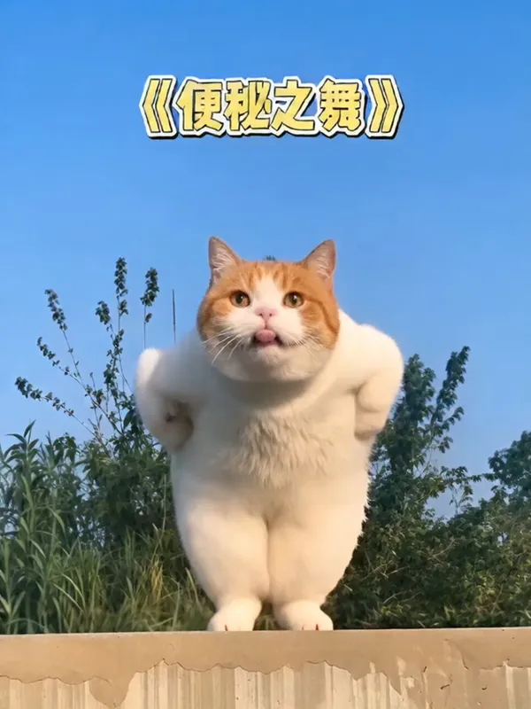 🔥搞笑舞蹈|AI便秘之舞 - 主图(AI艺术作品)