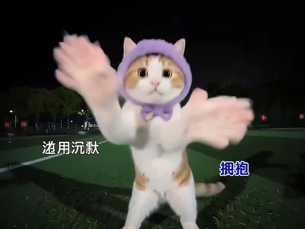 🔥我们！背对背拥抱！|萌宠社会摇 - C作品