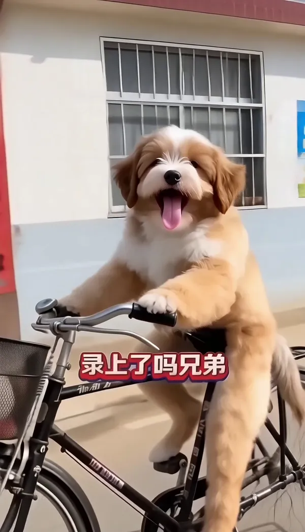 动作模仿|村里的自行车高手 - 主图(AI艺术作品)