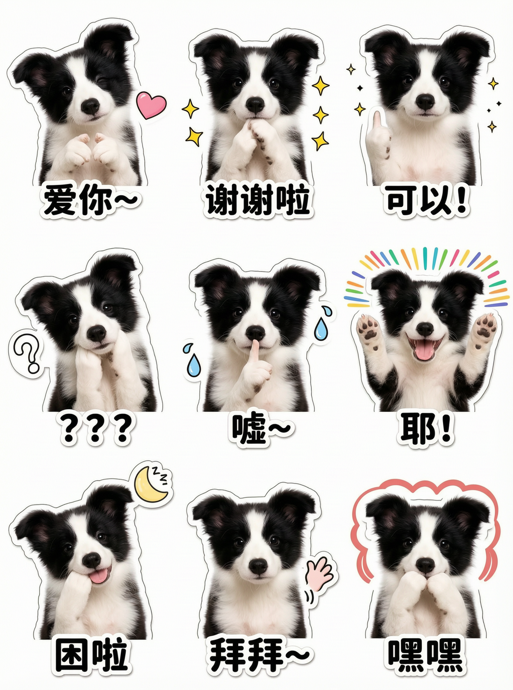 萌宠🐶九宫格表情包写真|一键定制 - 作品图3